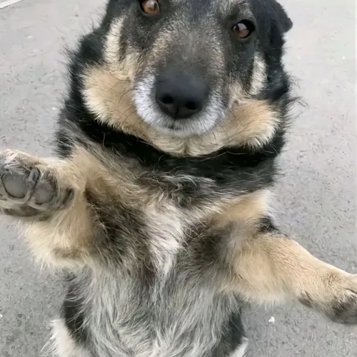John