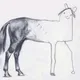Ponylittle