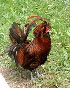 Biking through winding roads