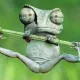 froggy