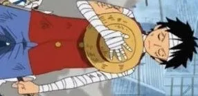 HODLHERO