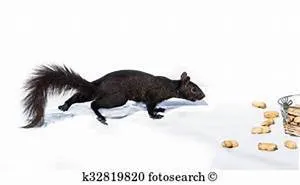 Technological landscapes shaping