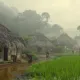 gggdgdg