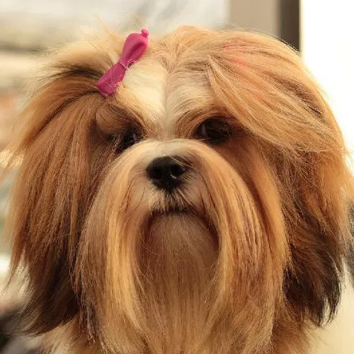 Stargazing adventures