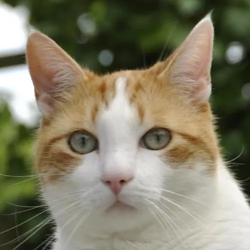 Underwater hotel experiences