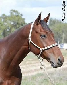 Rock climbing challenges