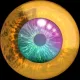 Eye