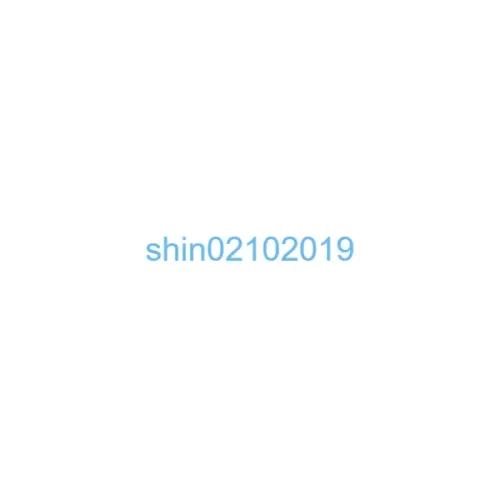 shin02102019