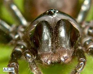 Volunteer travel experiences