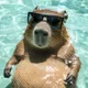 CapybarasChill