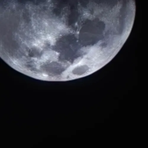 Somnia Moon 