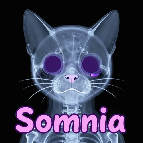 X-ray somni
