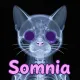 X-ray somni