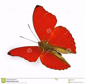 Renewable resources revolution