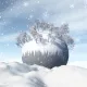 snoww