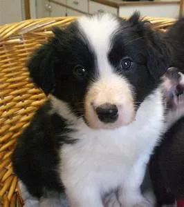 Inner peace practices