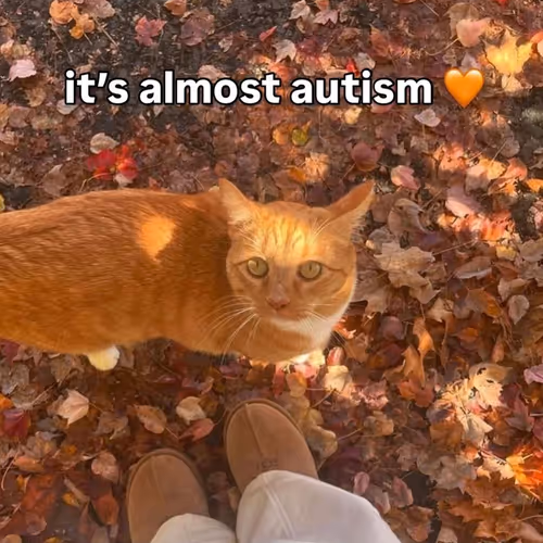 autmn