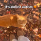 autmn