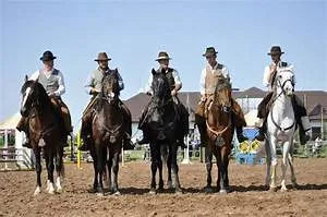 Fitness and wellness regimes