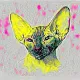 CATTY