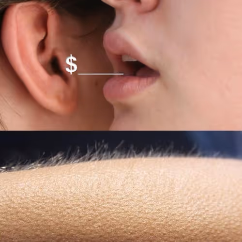 Masters of the Craft