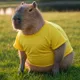  yellow t-shirt