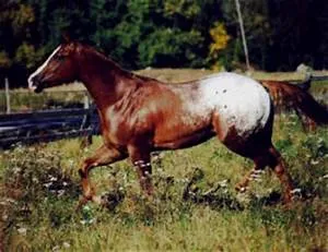 Future technology advancements