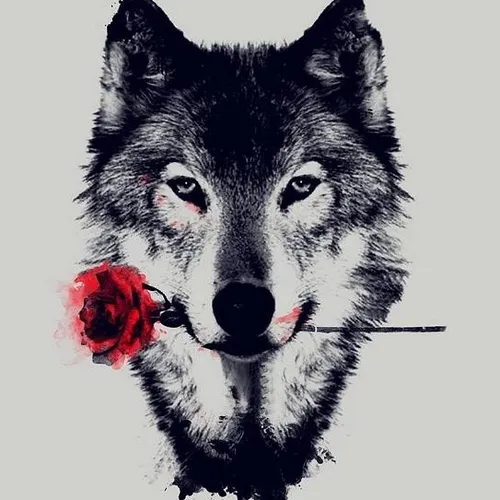 Wolf Somnia