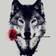 Wolf Somnia