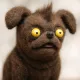 Griffon Dog