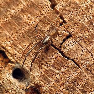 Sustainability awareness