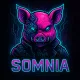 Somnia Pig