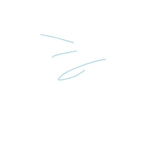 sdgsgdsg