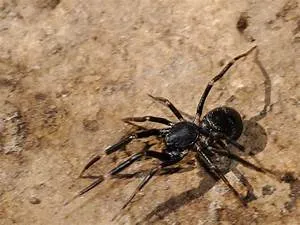 Secrets uncovered journey