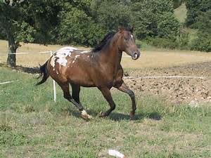 Innovative learning approaches