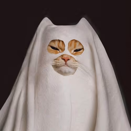 Grumpy Ghost Kitty
