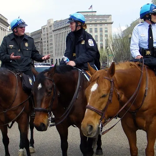 Sustainable living practices