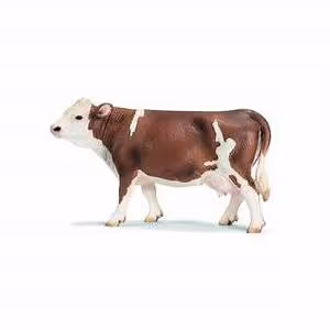 Volunteer travel experiences