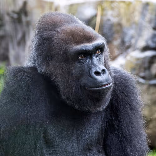 Innovative learning approaches