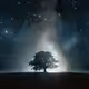 Echoes of the Odyssey
