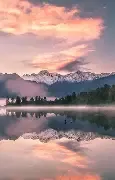 vmg