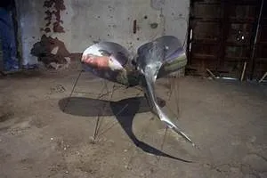 Cherry blossom festivals