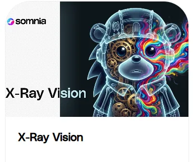 X-Ray Visio