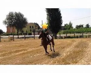 Social responsibility actions