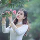 ửetet