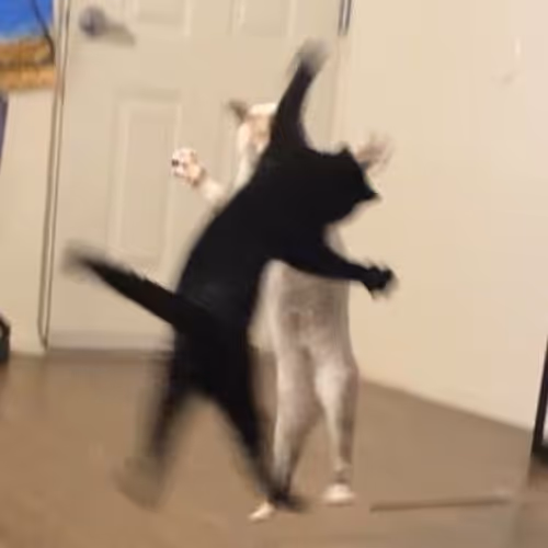 nhnh