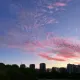 mgjghj