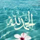 Amal2020