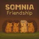 Somnia Friendship