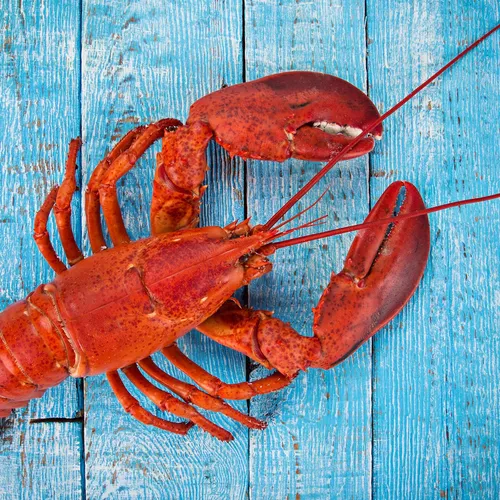 Structural design wonders